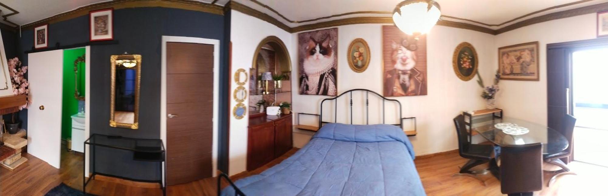 Guajara Loft-balcon Apartment La Laguna (Tenerife)