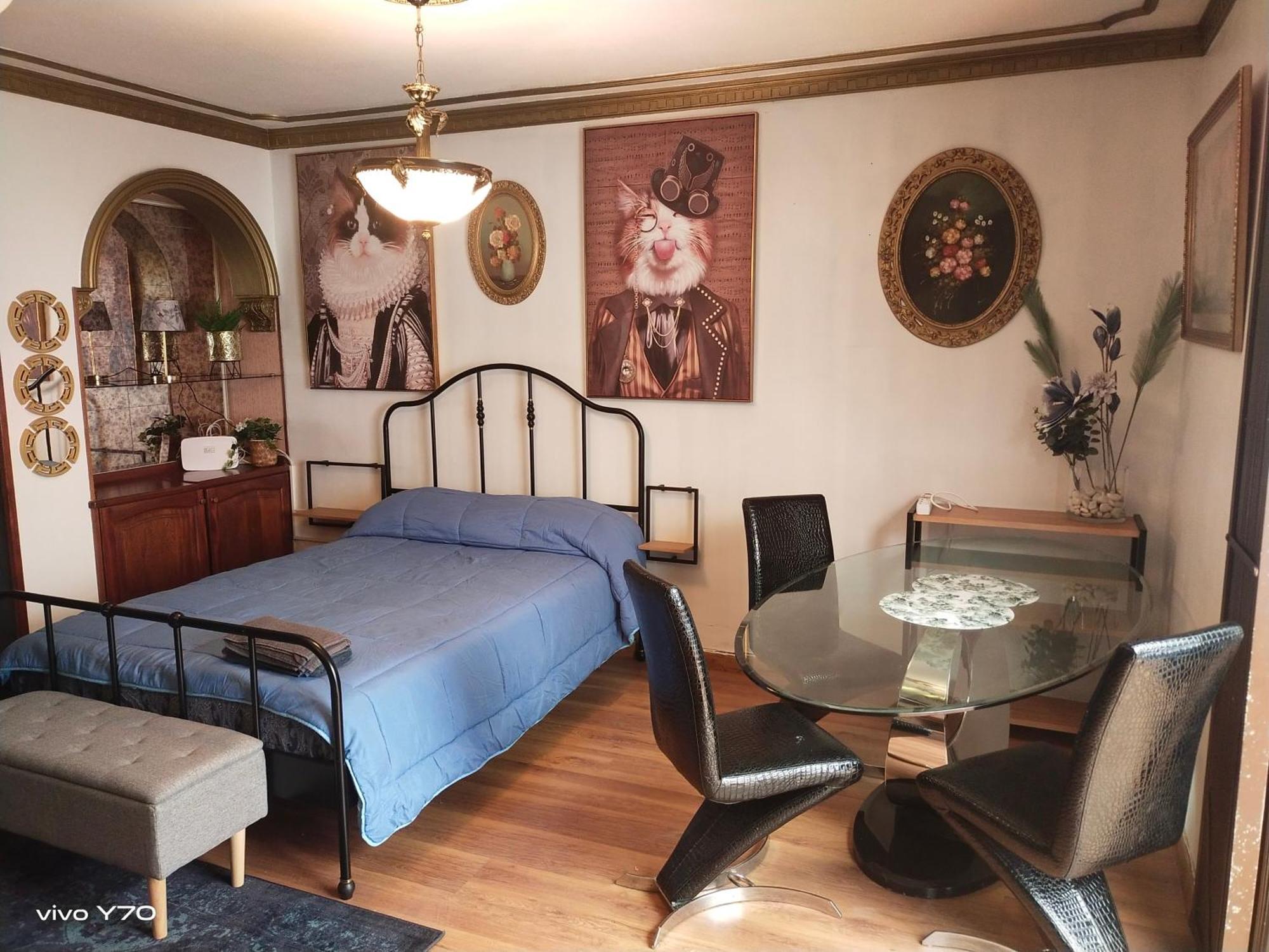Guajara Loft-balcon Apartment La Laguna (Tenerife)